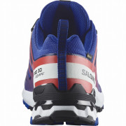 Herrenschuhe Salomon Xa Pro 3D V9 Gore-Tex Equipe