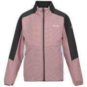 Kinder-Sweatshirt Regatta Jnr Highton FZ II hellrosa DuskyRs/SlGy