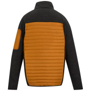 Herrenjacke Regatta Ceden Hybrid