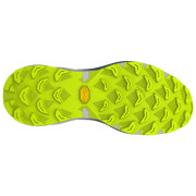 Herren Laufschuhe Dynafit Ultra 100 V3