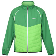 Herrenjacke Regatta Steren Hybrid grün Field Green/Jasmine Green