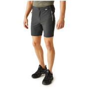 Herrenshorts Regatta Mountain ShortsII M