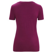 Damen-Funktionsshirt Icebreaker Women Tech Lite II SS Scoop Tee Nature Celebration