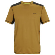 Herren-T-Shirt Regatta Virda braun WdBrn/Blck