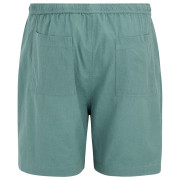 Herrenshorts Regatta Hadlin Shorts