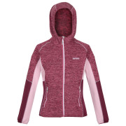 Damen-Sweatshirt Regatta Walbury IV lila Violet/AmaHz