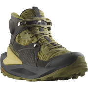 Herrenschuhe Salomon Elixir Mid Gore-Tex grün Black / Dried Herb / Southern Moss
