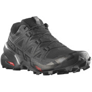 Herrenschuhe Salomon Speedcross 6