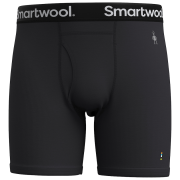 Herren funktionelle Boxershorts Smartwool M Everyday Merino Boxer Brief Boxed schwarz BLACK