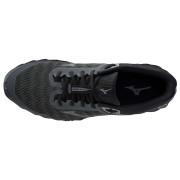Herrenschuhe Mizuno Wave Ibuki 3 GTX