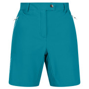 Damenshorts Regatta Mountain ShortsII blau Enamel