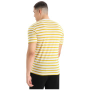 Herren-T-Shirt Icebreaker Drayden SS Tee Stripe