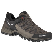 Herrenschuhe Salewa Ms Mtn Trainer Lite Gtx grau