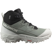 Damenschuhe Salomon Crosstrak Waterproof