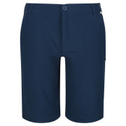 Herrenshorts Regatta Highton ShortLong