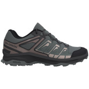 Damen Trekkingschuhe Salomon Extegra grau Sedona Sage / Urban Chic / Etherea