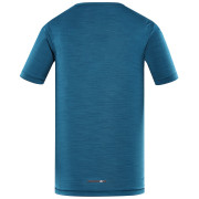 Herren-T-Shirt Alpine Pro Basik