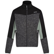 Herren-Sweatshirt Regatta Coladane VI grau Ash Marl/Blk