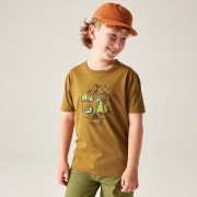 Kinder-T-Shirt Dare 2b Trailbazer III Tee Dark Cumin