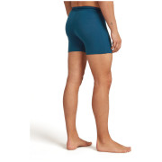Herren-Boxershorts Icebreaker Men Merino 150 Anatomica Boxers