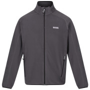 Herren-Sweatshirt Regatta Hadfield grau Seal Grey