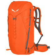 Rucksack Salewa Mtn Trainer 2 28 orange Red Orange