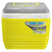 Kühlbox Pinnacle Primero 32L grau/gelb Lime
