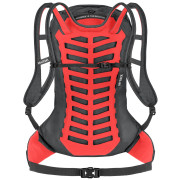 Rucksack Salewa Pedroc Pro 20L W
