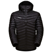 Herrenjacke Mammut Albula IN Hooded Jacket Men