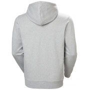 Herren-Sweatshirt Helly Hansen Core Graphic Hoodie