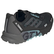 Damenschuhe Adidas Terrex Agravic Flow 2 GTX W
