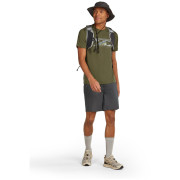Herren-T-Shirt Icebreaker M Merino 150 Tech Lite SS Tee Highland