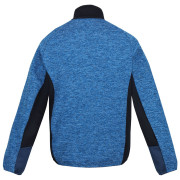 Herren-Sweatshirt Regatta Coladane IV