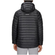 Herrenjacke Mammut Albula IN Hooded Jacket Men 2021