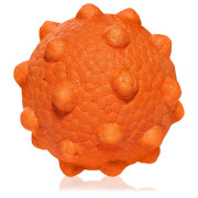 Hundespielzeug Explorer Dog AirBall Tips 8 cm orange Oranžová