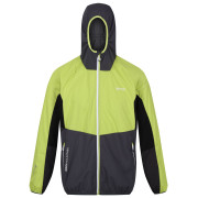 Herrenjacke Regatta Tarvos VI grün GreenAlg/Ash