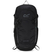Rucksack Regatta Blackfell IV 15L schwarz Black