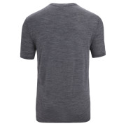 Herren-Funktionsshirt Icebreaker Sphere II SS Tee Hitt