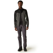 Herren-Sweatshirt Regatta Coladane VI