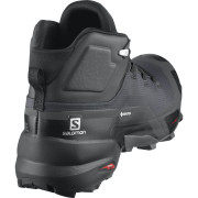 Herrenschuhe Salomon Cross Hike Mid GTX