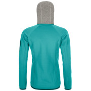 Damen-Sweatshirt Ortovox W's Fleece Plus Classic Knit Hoody
