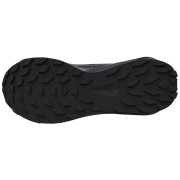 Damenschuhe Salomon Alphaglide Gore-Tex