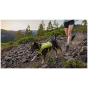 Leine mit Stoßdämpfer Ruffwear Trail Runner™ Leash