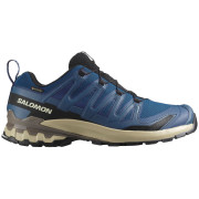Wanderschuhe Salomon Xa Pro 3D V9 Gore-Tex dunkelblau Poseidon / White Pepper / Falcon