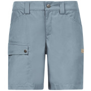 Damenshorts Bergans Nordmarka Leaf Light Shorts Women blau Smoke Blue