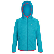 Kinder-Sweatshirt Regatta Dissolver II