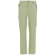 Herrenhose Regatta Anti-Insect Travel Light Z/O Trousers hellgrün Light Sage