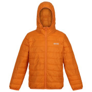 Kinderjacke Regatta Jr Hooded Hillpck braun Autumn Maple