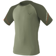 Herren-Funktionsshirt Dynafit Alpine Pro M dunkelgrün 5291 - sage/5560