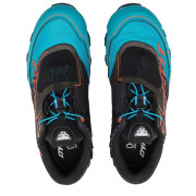 Damen Laufschuhe Dynafit Feline SL W Gtx